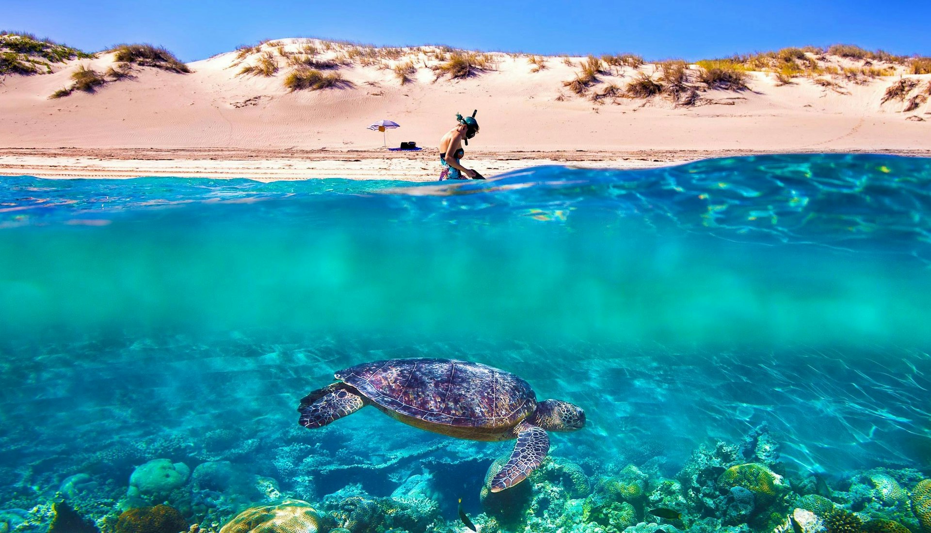Ningaloo Reef, Western Australia (Source:西澳旅遊局)