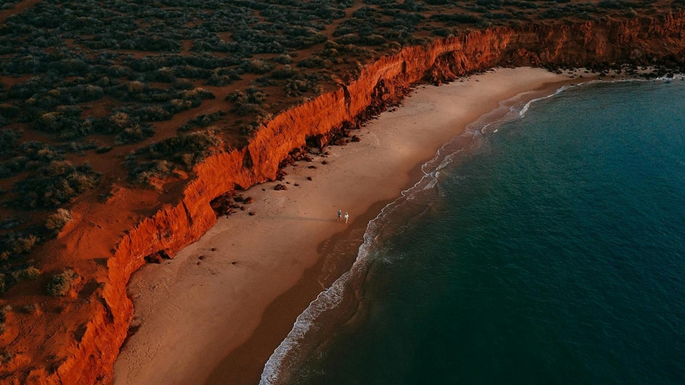Shark Bay - Destinasi - Tourism Western Australia