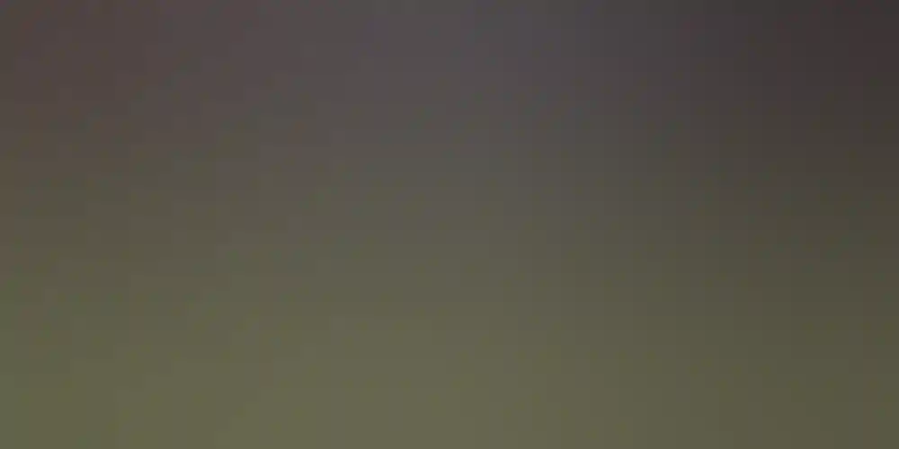 Optus Stadium attendance on game day