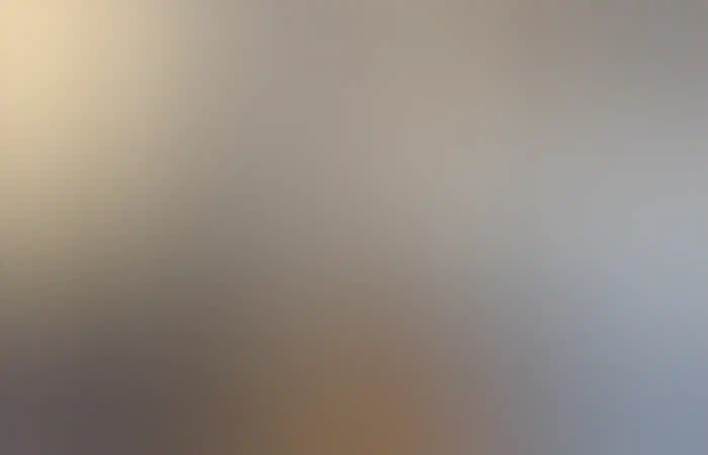 珀斯請願啤酒角落