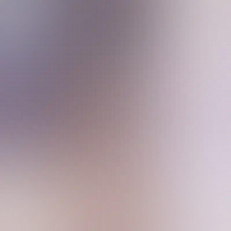 安伯利·洛博